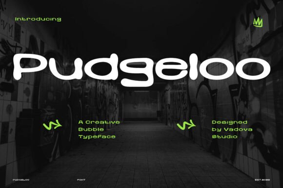 Why Pudgeloo Is the Display Font Your Next Campaign Needs